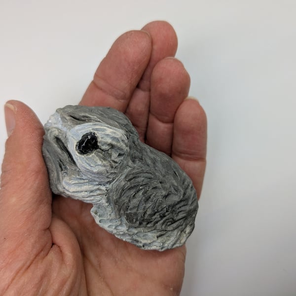 Mini Curled Bearded Collie