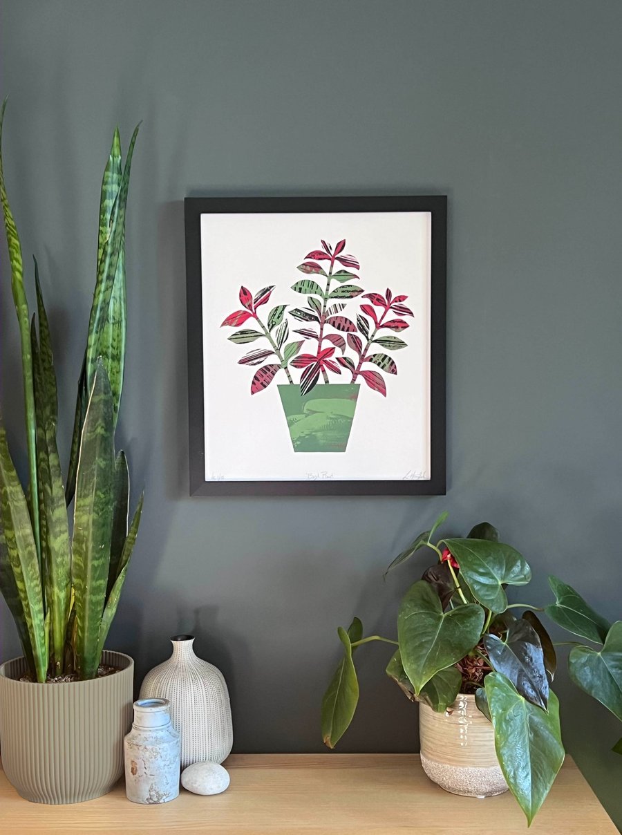 Basil Plant Wall Art, Limited Variable Edition Screen Print