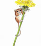 Cute Little Mouse and Dandelion Flower, original painting