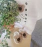 Handmade Milk Cotton Crochet Baby Bear Onesie and Booties set 3to6 Months - Image 2