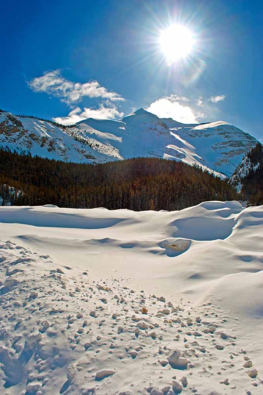 Canadian Rocky Mountains Icefields Parkway Canada Photograph Print