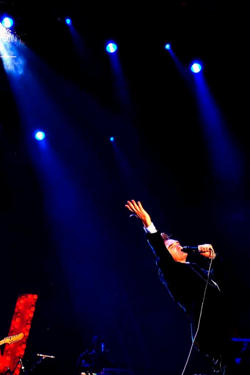 Morrissey Performing Live Reading Rock Festival Photograph Print