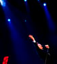 Morrissey Performing Live Reading Rock Festival Photograph Print