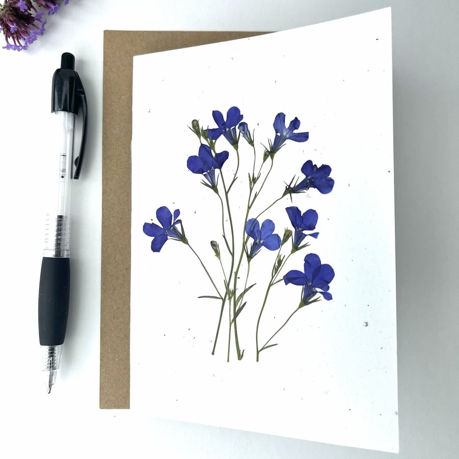 Handmade Real Pressed Flower, Lobelia, Greeting Card