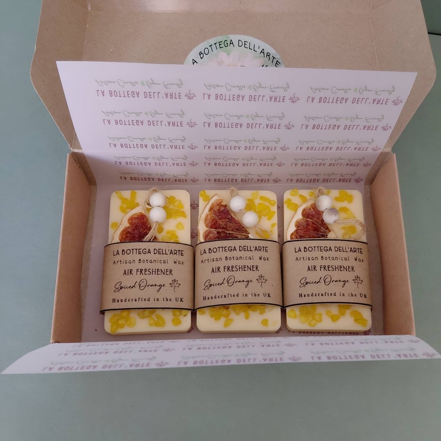 Handmade Botanical Wax Air Freshener  Spiced Orange & Crystal Chips