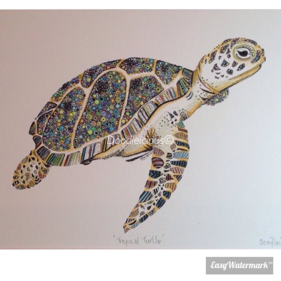 Tropical Turtle limited edition print 12 x15"