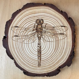 Wood burning Wildlife - coasters