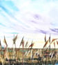 Big Sky Land and Skyscape Oil Painting : Ouse Fen Reeds and Wetlands - Image 3