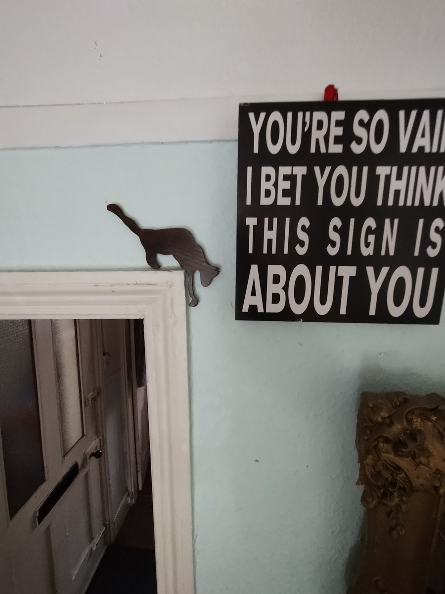 cat shadow for door architrave