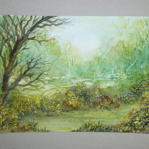 art painting original woodland landscape watercolour ( ref FA 394 D3 )