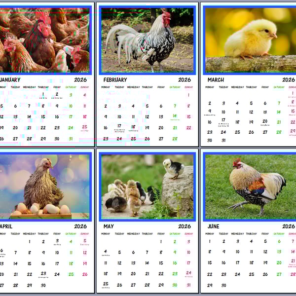 2026 Chickens Hanging Wall Calendar Each month A4 Size 