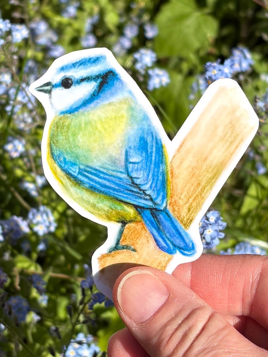 Blue Tit Sticker