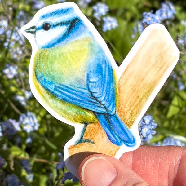 Blue Tit Sticker
