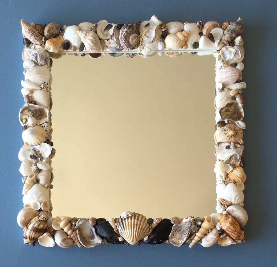 Cockleshell Mirror UK only