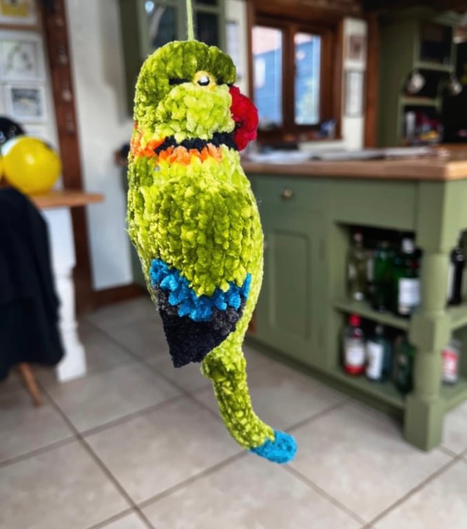 Parakeet hand knit customised