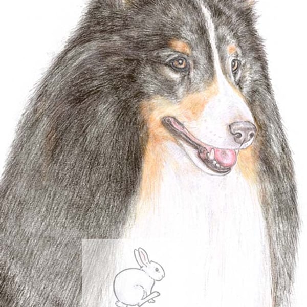 Kitty the Shetland Sheepdog - Blank Card