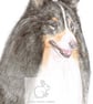Kitty the Shetland Sheepdog - Blank Card - Image 1