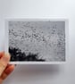 Winter Geese Card - READY TO SHIP - Image 2