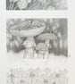 Pencil drawings 1 - fly agaric mushrooms, poppy seed heads and camomile flowers - Image 5