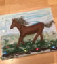 Equus