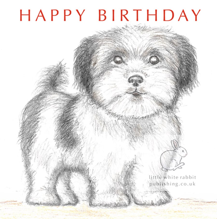 Dylan the Little Dog - Birthday Card