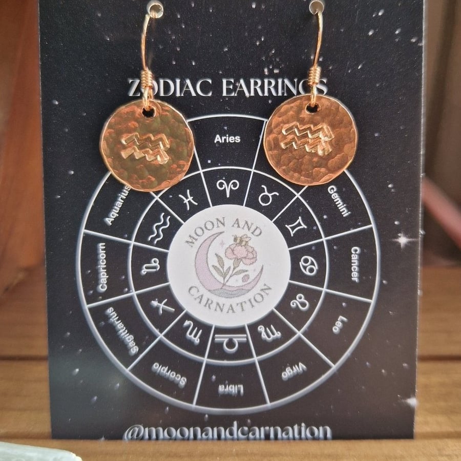 Aquarius Copper Zodiac Earrings