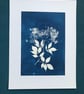 Botanical Art, Original Art, Elderflower. - Image 1