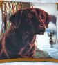 lovely Honey Labrador cushion - Image 1