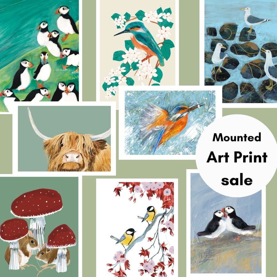 Art Sale Wildlife Animal and Bird Mounted Art Prints