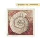 Little ammonite fossil original art miniature, artwork, tiny painting - Image 2