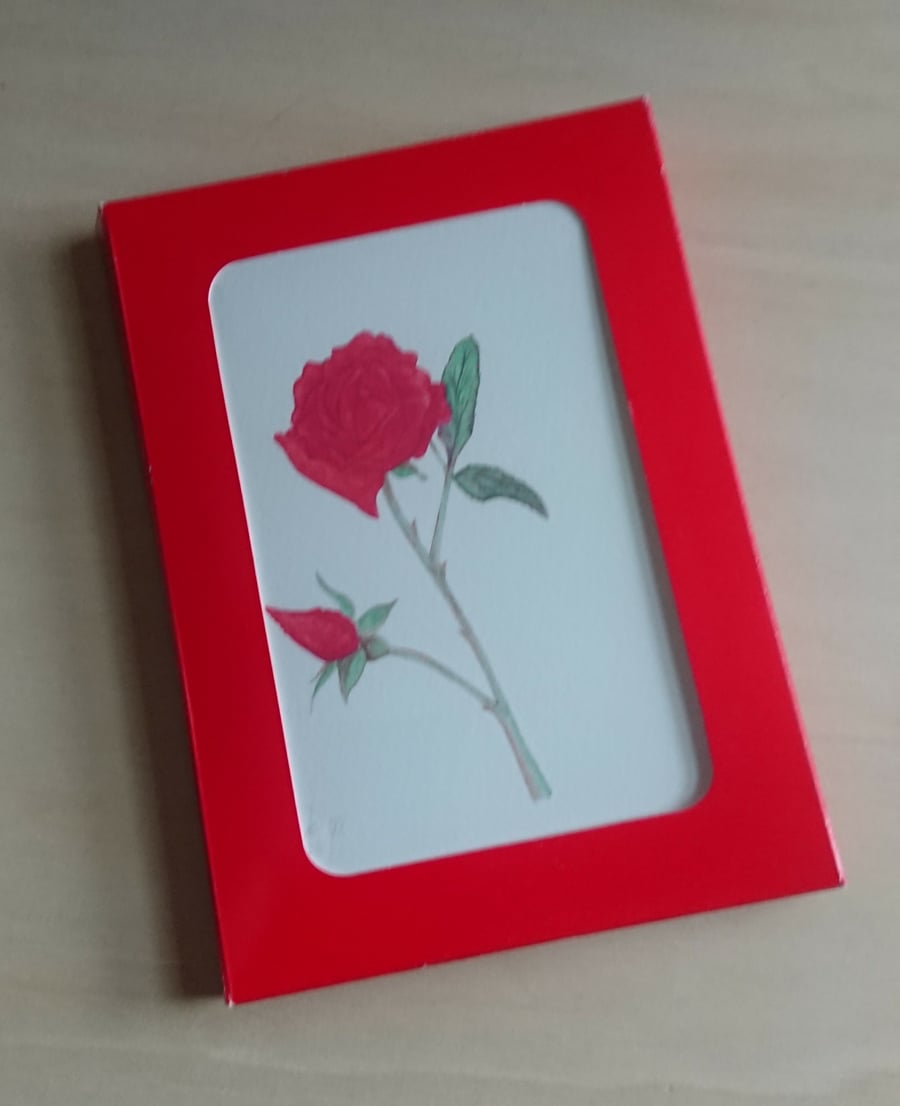 Red Rose gift box of 5 blank inside A6 folded size cards