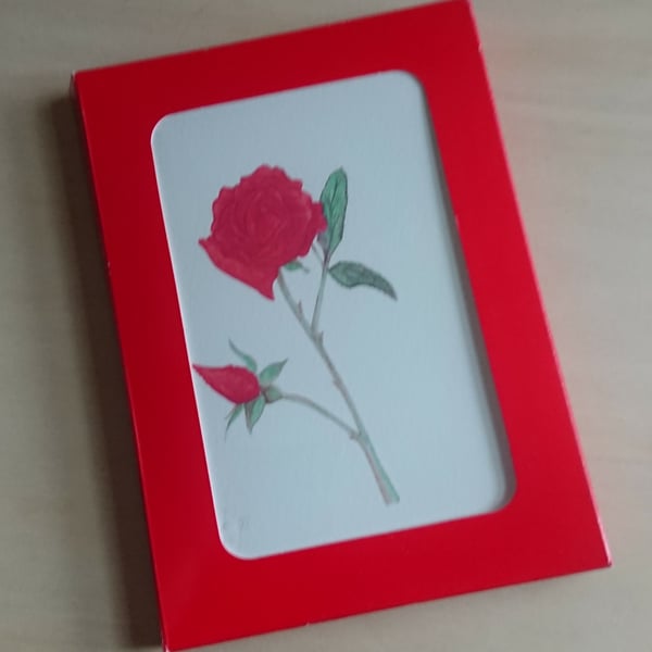 Red Rose gift box of 5 blank inside A6 folded size cards