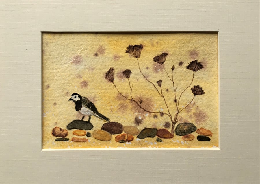 Original art wagtail on beach 
