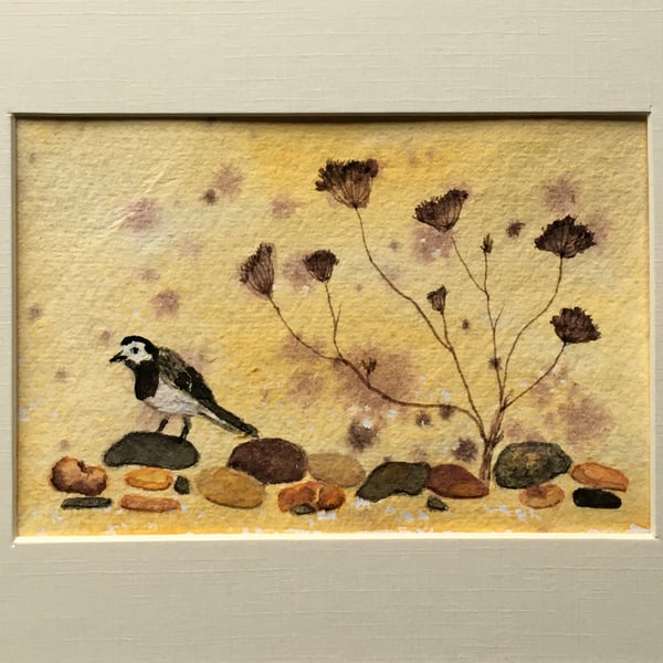 Original art wagtail on beach 