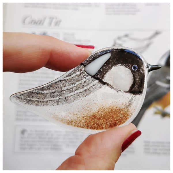 One glass coal-tit, British garden bird 