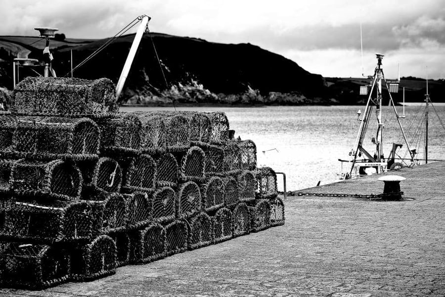 Picture Mevagissey Fishing, Black and White Print, Cornwall Photo