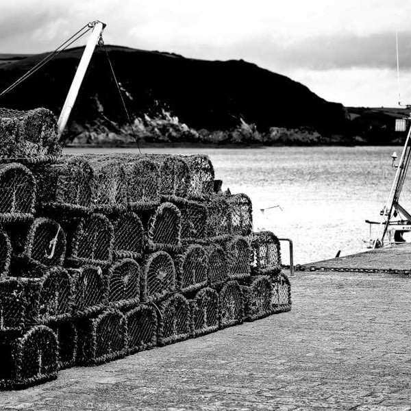 Picture Mevagissey Fishing, Black and White Print, Cornwall Photo