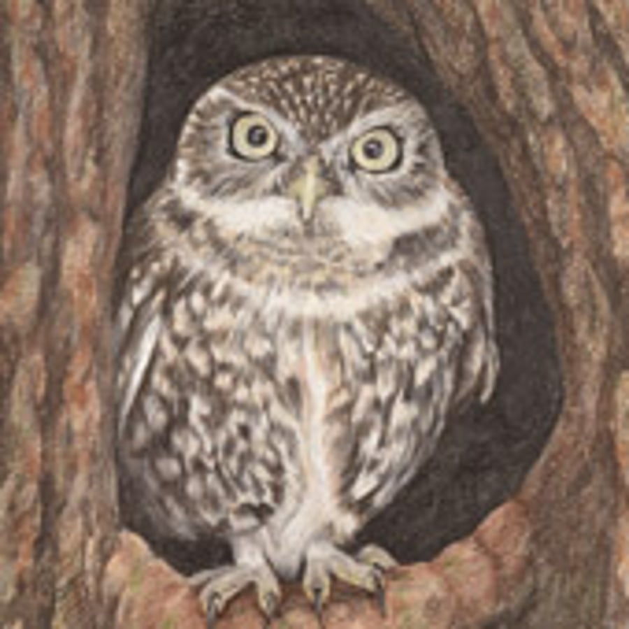 Helen Clifford Art