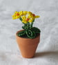 Miniature Yellow or Pink Beaded Primula  - Image 5