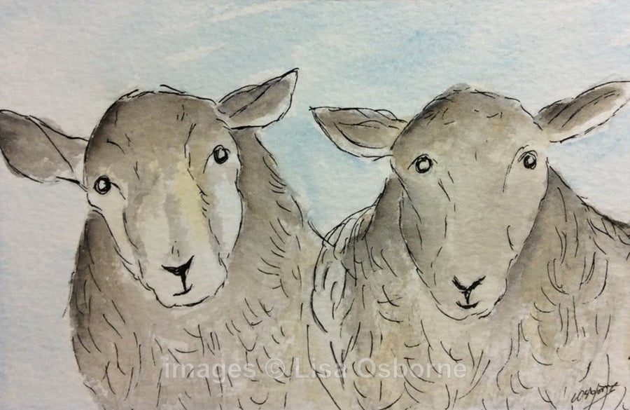 Good morning! - Signed print. Sheep. Farm animals. 