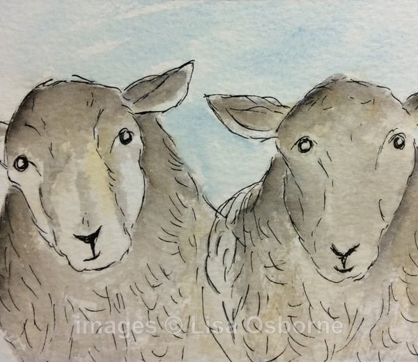 Good morning! - Signed print. Sheep. Farm animals. 
