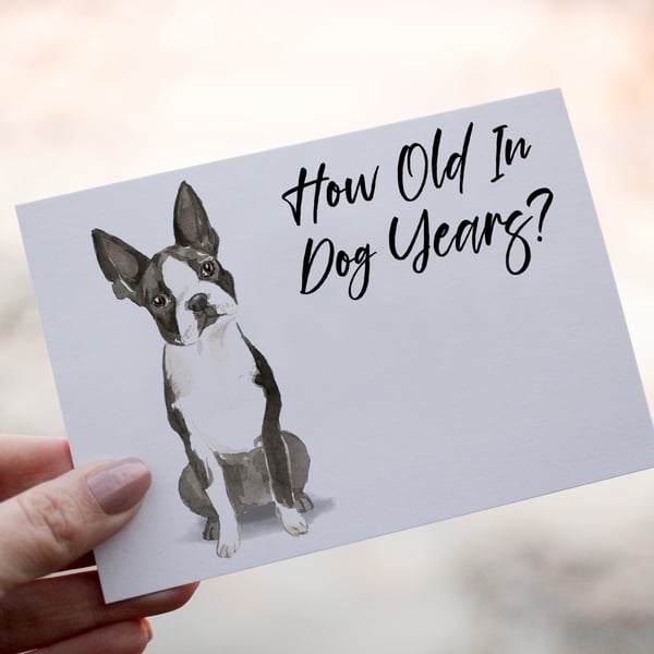 Boston Terrier Dog Birthday Card, Dog Birthday Card