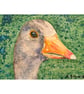 Original ACEO Watercolour, Goose Head, Miniature Painting - Image 2