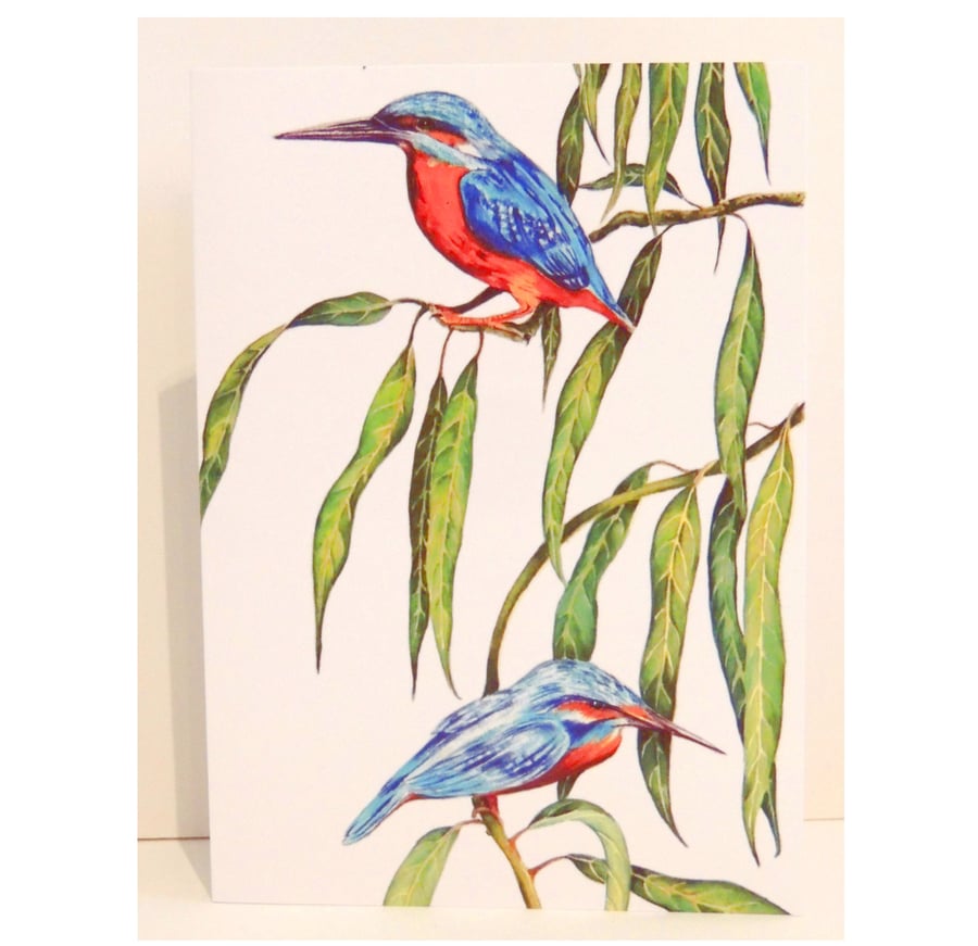 Kingfisher Greeting Card from Original Watercolour Painting