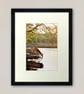 Giraffe Zulu Nyala Game Reserve South Africa Photograph Print - Image 4