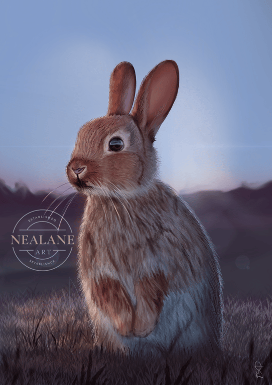 Rabbit drawing print Open Edition by artist Nealane