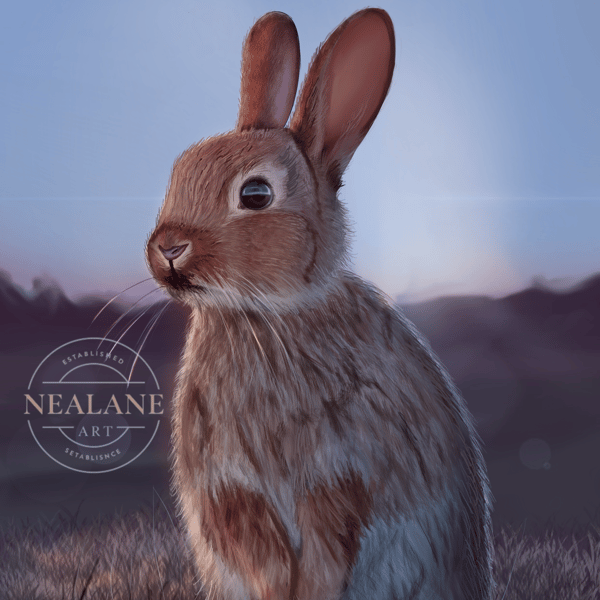 Open Edition Realistic Rabbit drawing print by artist Nealane