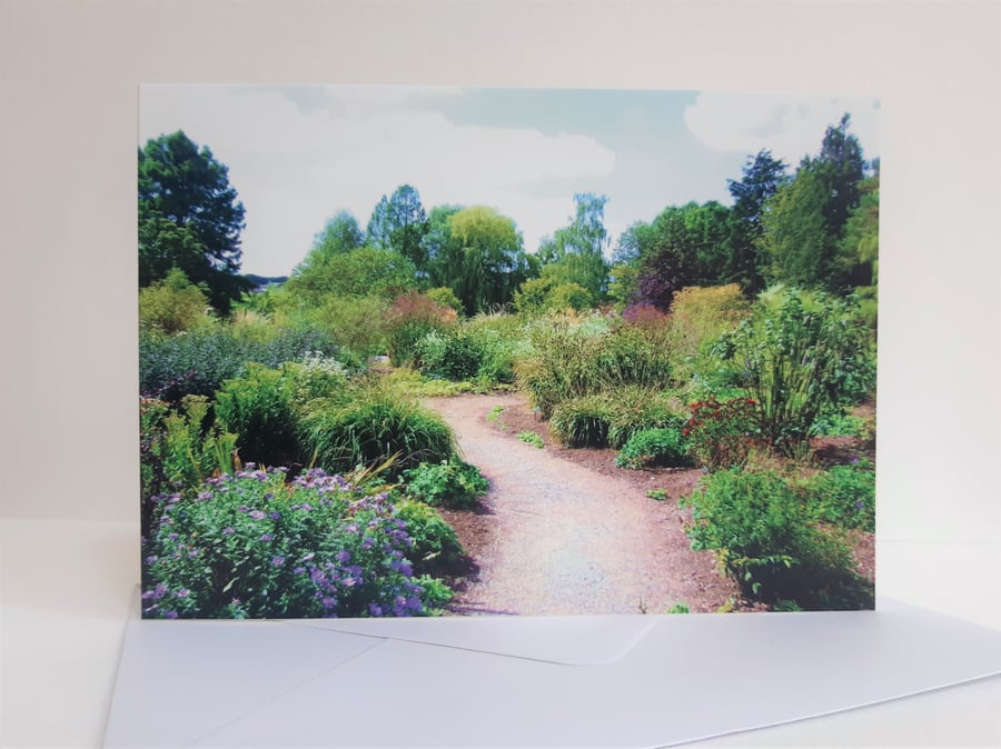 Into the garden - Beth Chatto gardens - greeting card