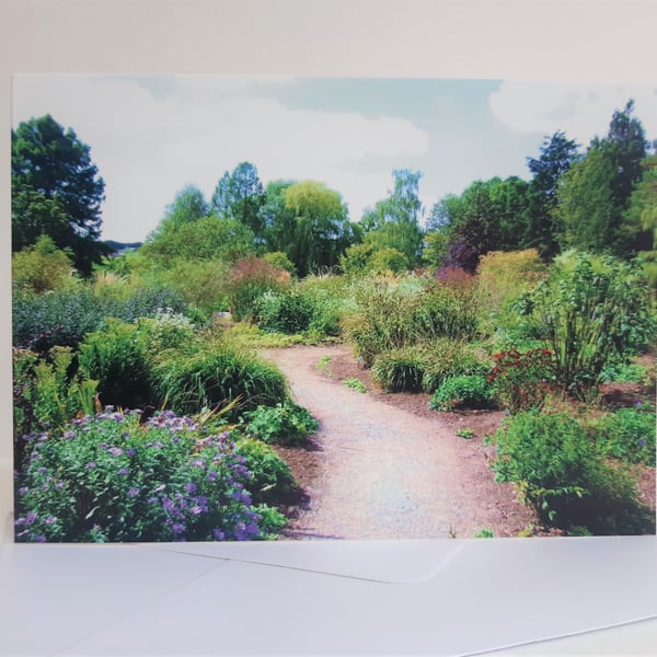 Into the garden - Beth Chatto gardens - greeting card