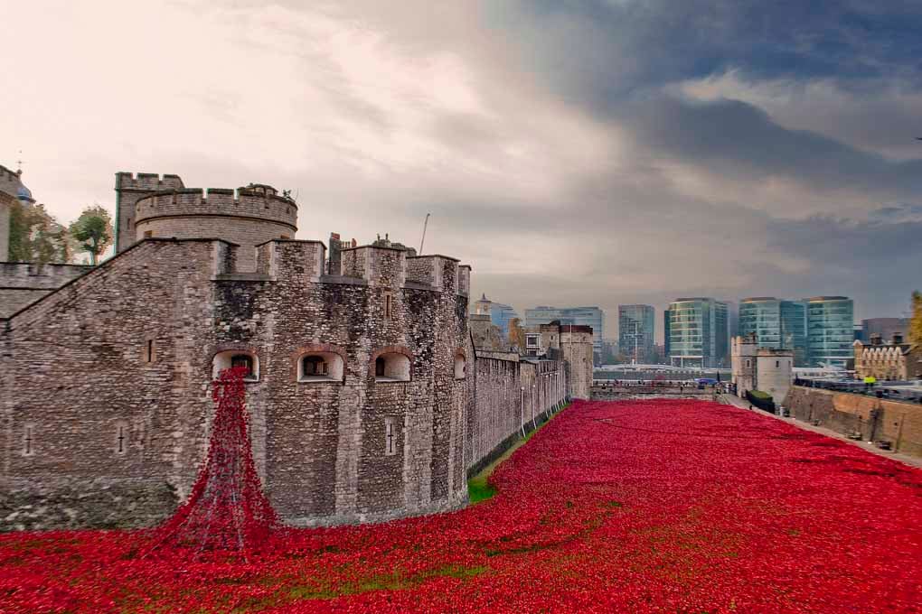 Tower of London Red Poppies England UK 18"x12" Print